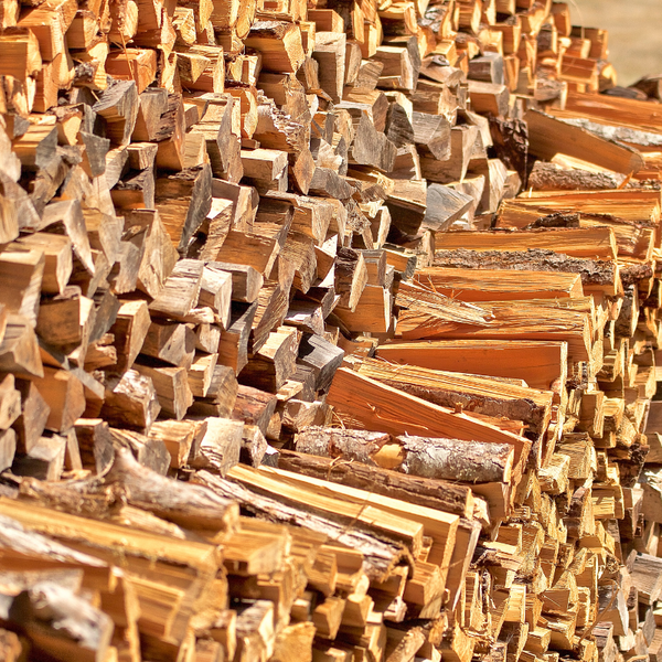 Professional Tree Trimming, Removal and Crane Services in Toledo Area